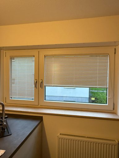 Blick auf ein Fenster mit Jalousien und einem sichtbaren grünen Außenbereich.