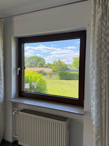 Fenster mit Aussicht auf einen grünen Garten und bewölkten Himmel.